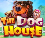 The Dog House Megaways bij Lizaro